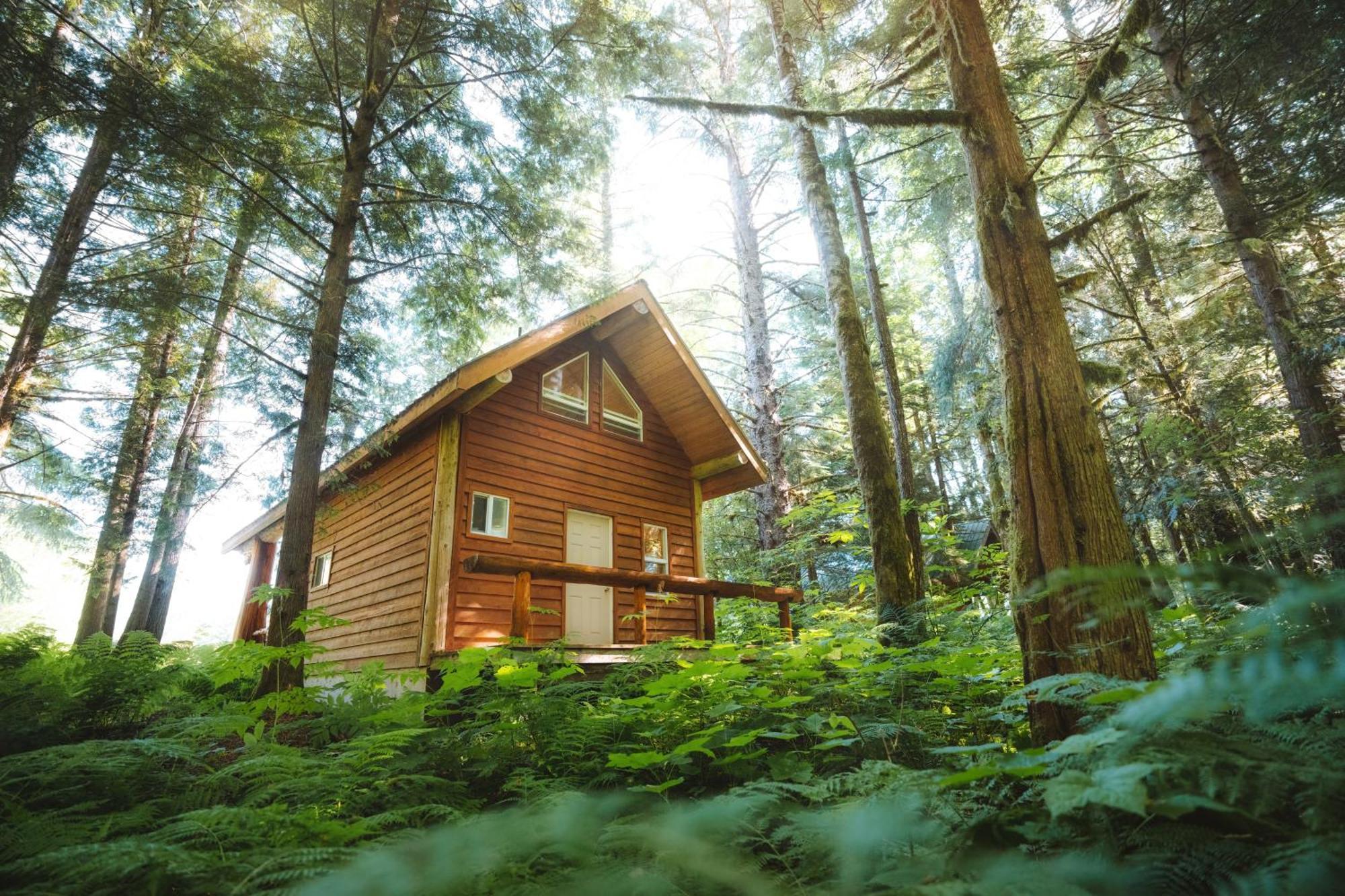 Bella Coola Grizzly Tours And Resort Hagensborg Exterior foto