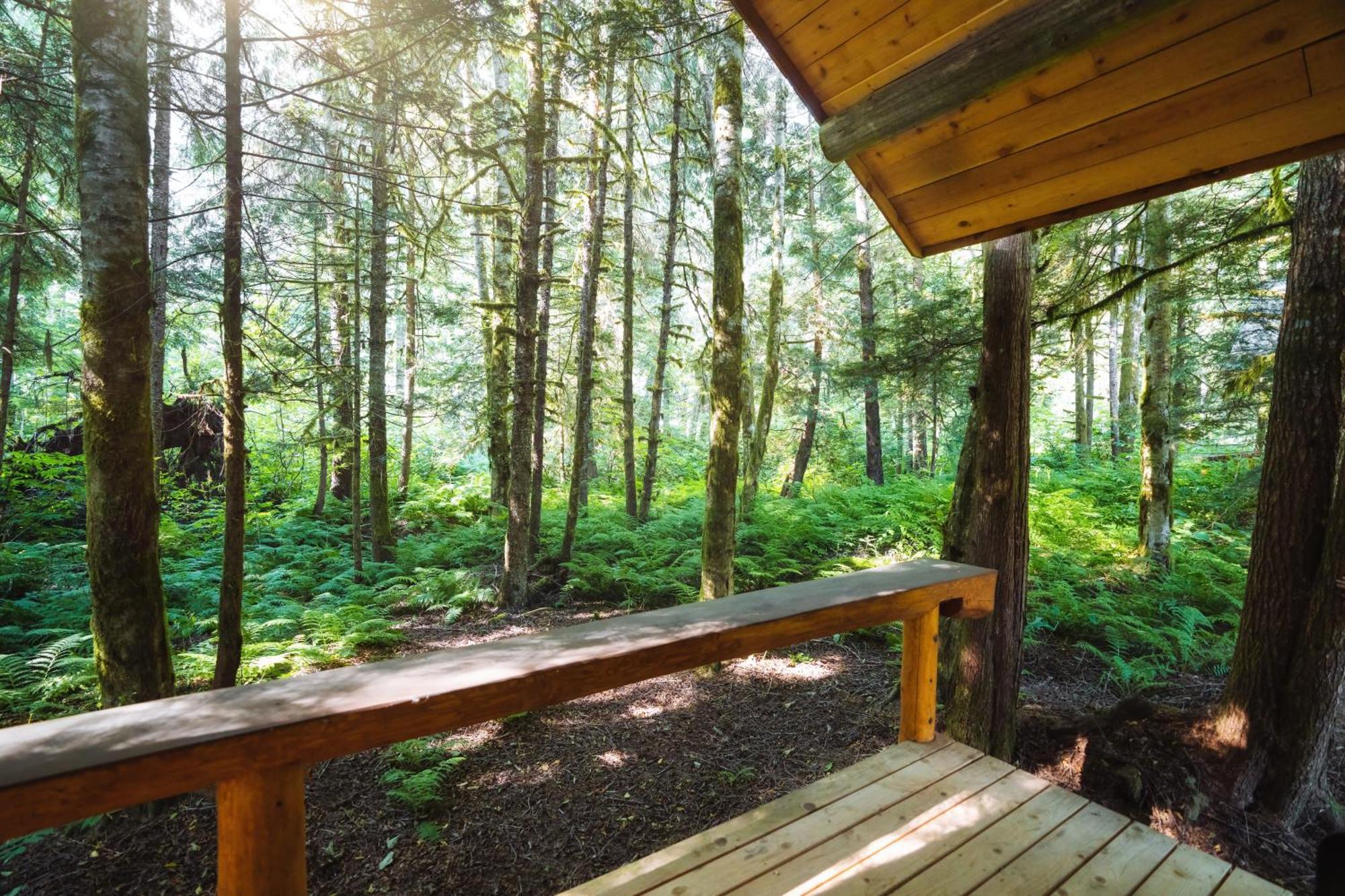 Bella Coola Grizzly Tours And Resort Hagensborg Exterior foto