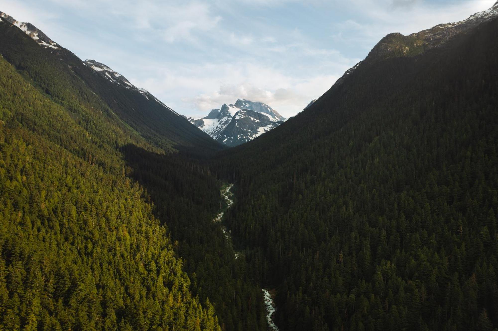 Bella Coola Grizzly Tours And Resort Hagensborg Exterior foto