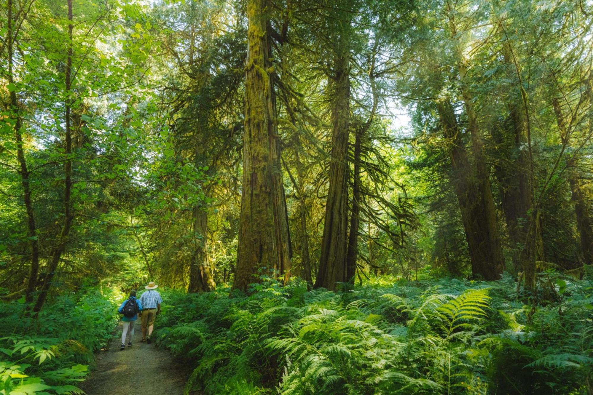 Bella Coola Grizzly Tours And Resort Hagensborg Exterior foto