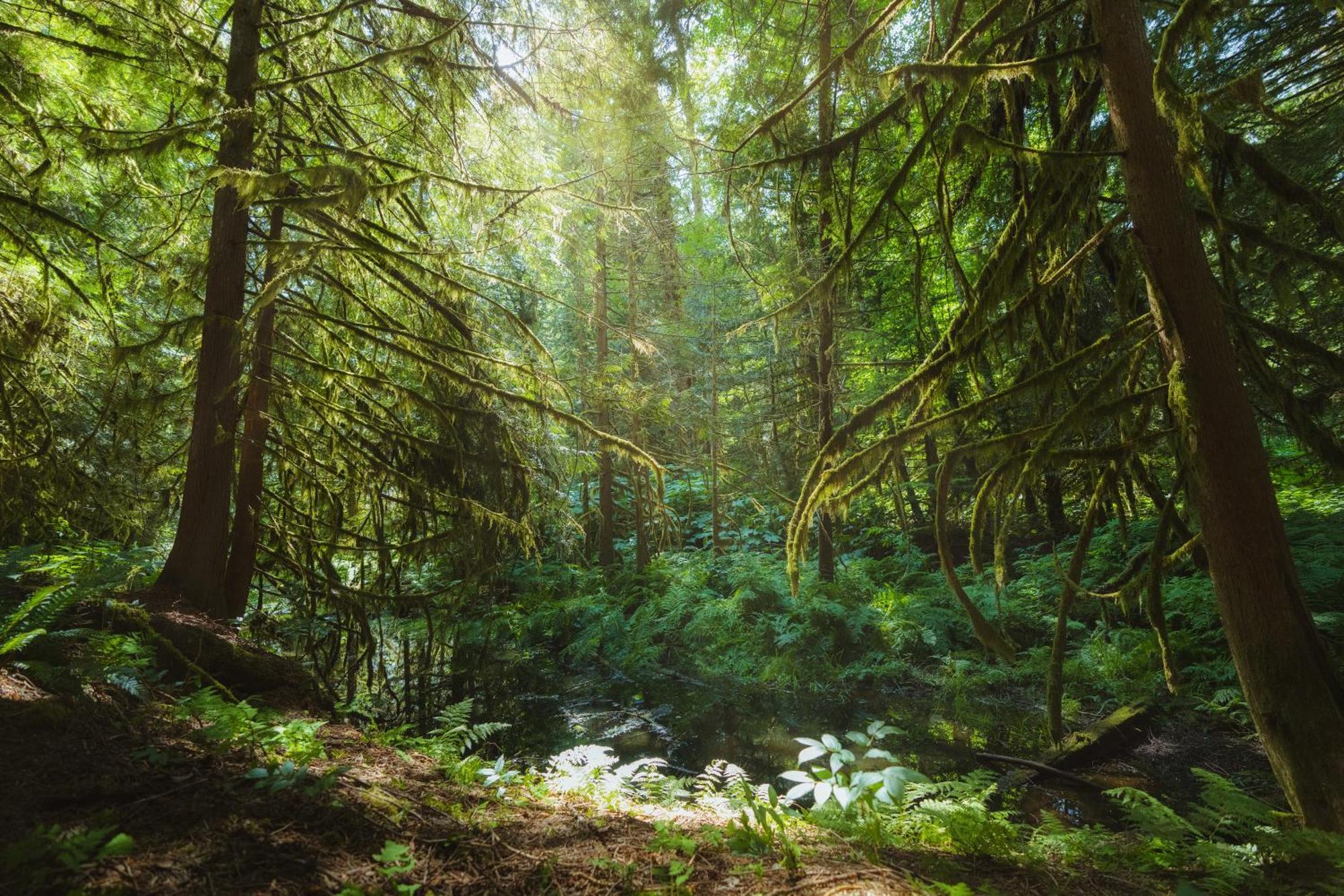 Bella Coola Grizzly Tours And Resort Hagensborg Exterior foto