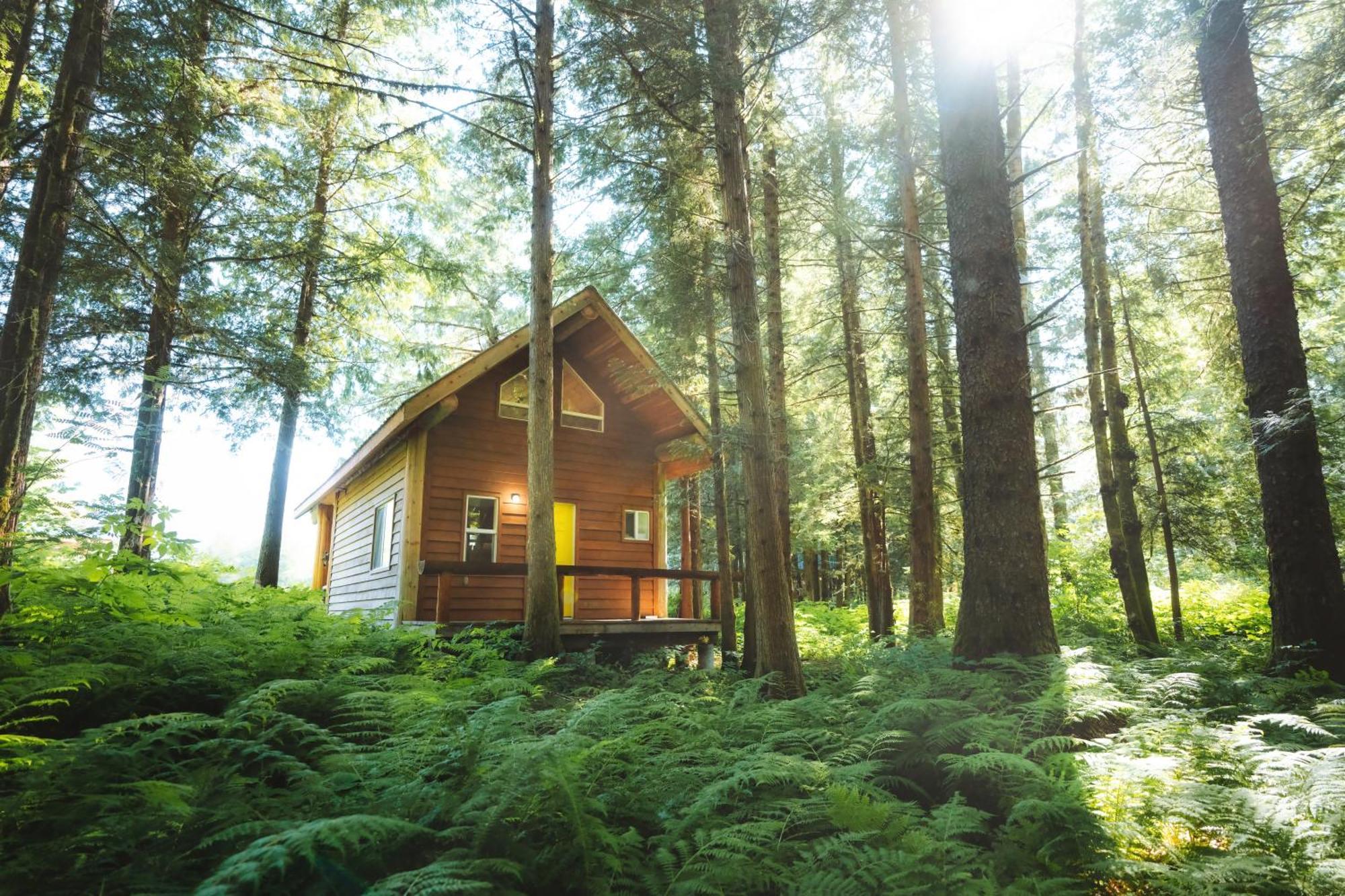 Bella Coola Grizzly Tours And Resort Hagensborg Exterior foto